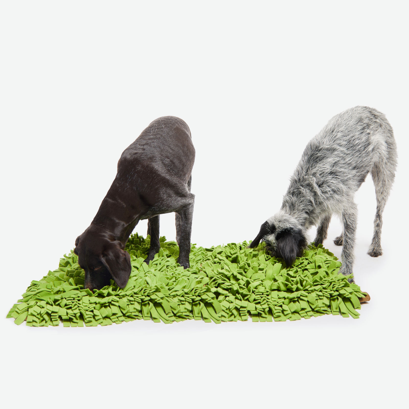 Dog Sniff and Search Interactive Nosework Puzzle Game, Schnüffelrasen, Sniffer Lawn XL