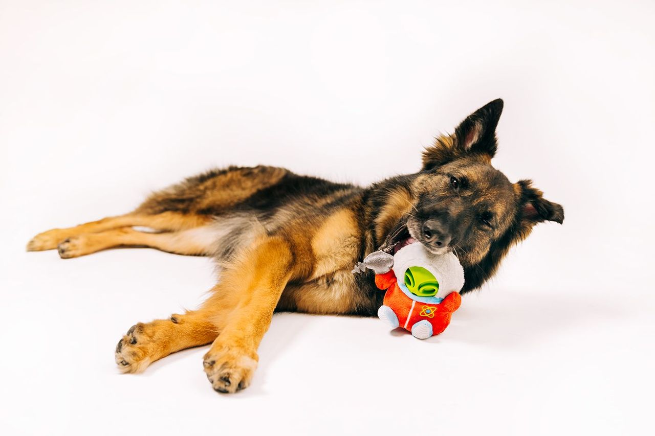 P.L.A.Y Alien Buddies Squeaky Plush Dog toys, Astro Explorer