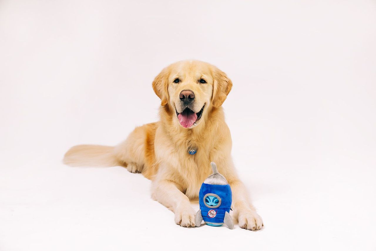 P.L.A.Y Alien Buddies Squeaky Plush Dog toys, Starblaster