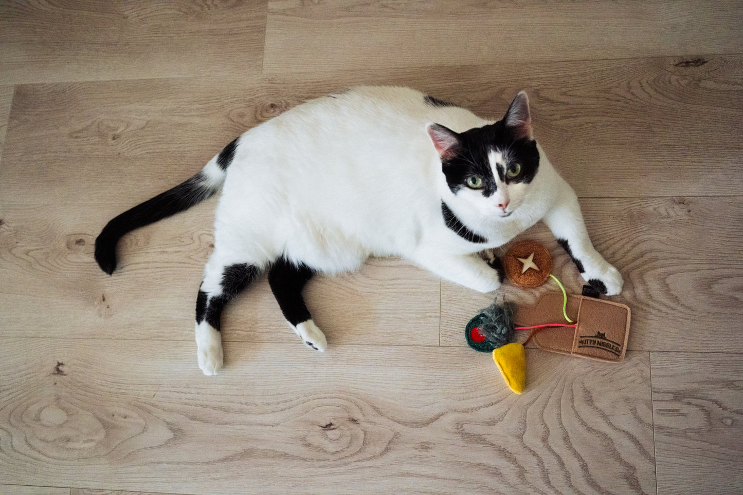 P.L.A.Y. Feline Frenzy, Catnip Toy set: Purrfect Pairings