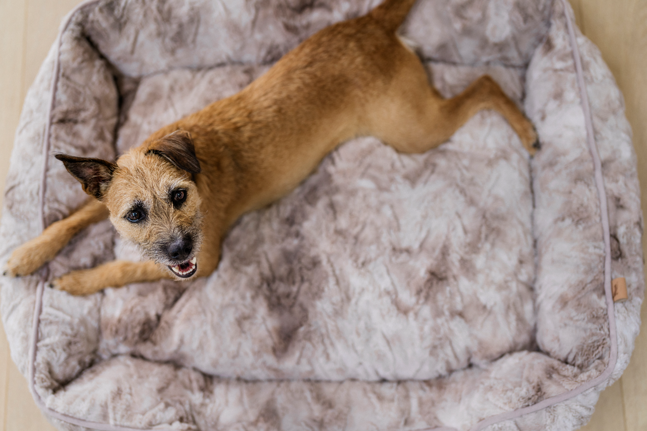 Lounge Dog Bed: Dreamland Frost Grey