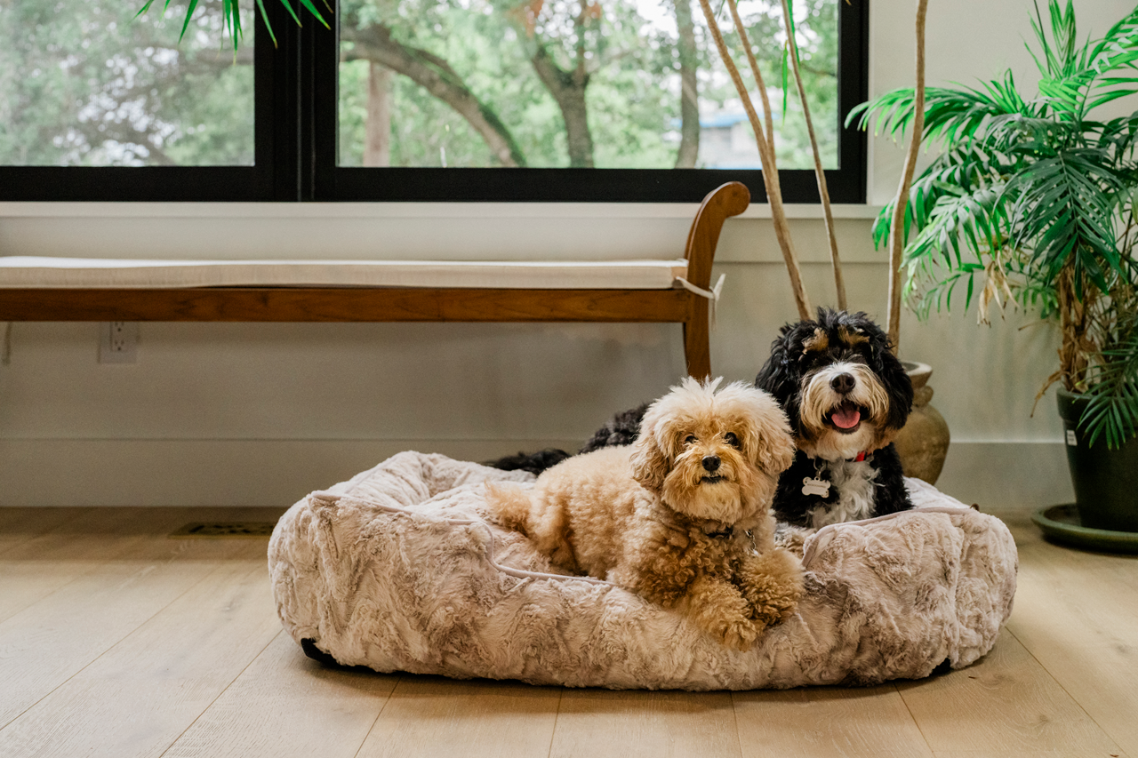 Lounge Dog Bed: Dreamland Sandstorm