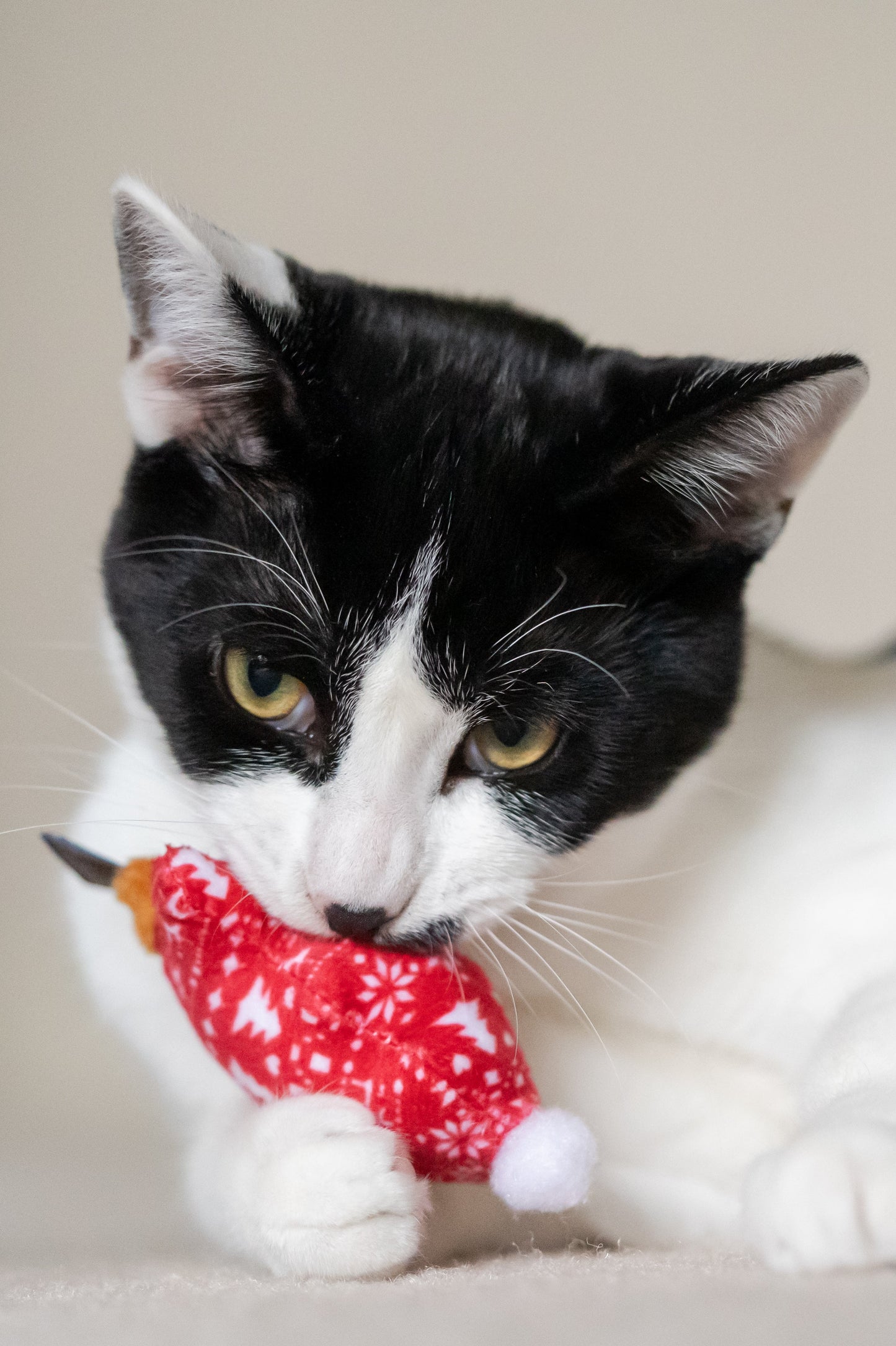 P.L.A.Y. Feline Frenzy, Catnip Toy set: Meowy Christmas