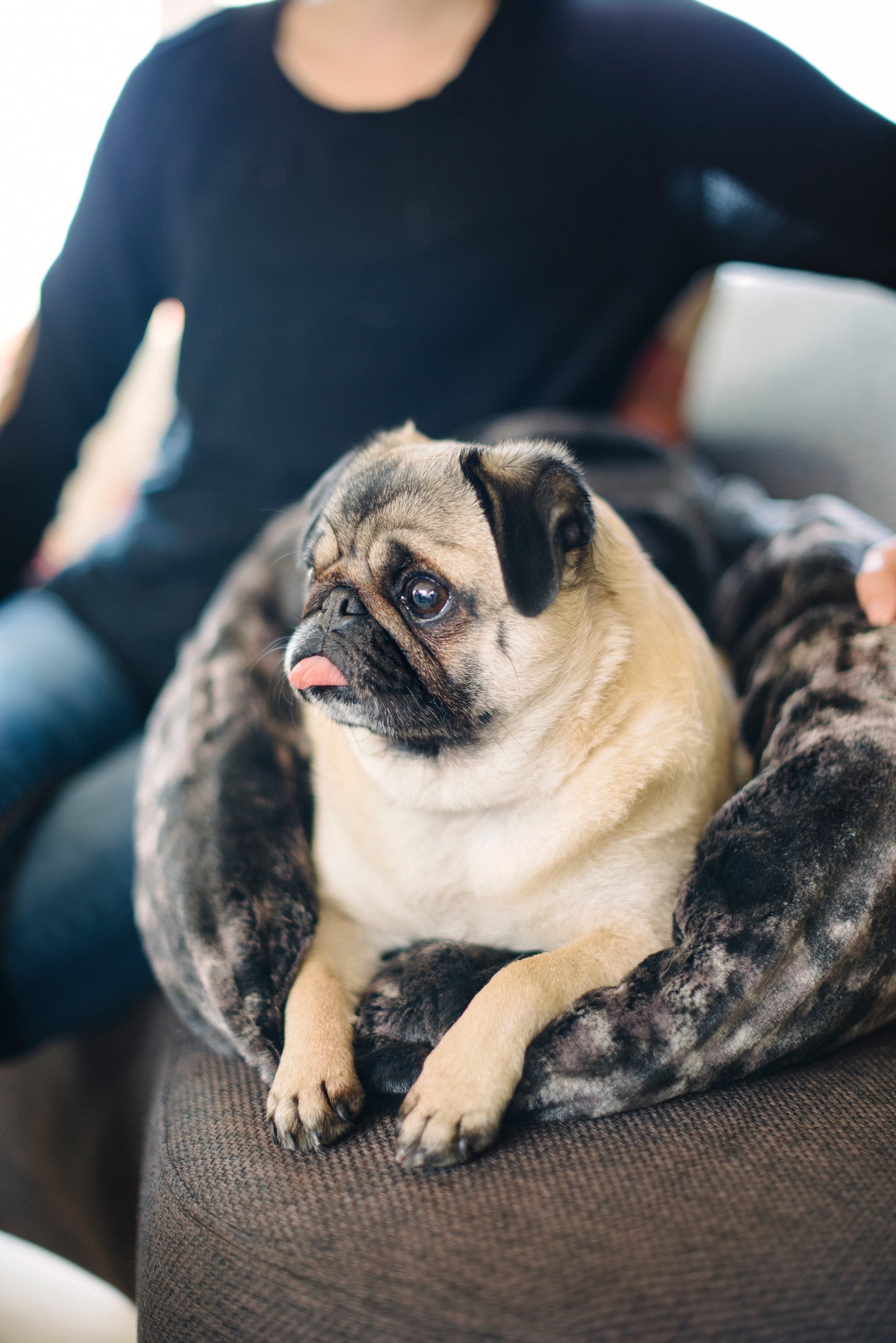 PLAY Snuggle Bed Charcoal Gray for Dogs and Cats