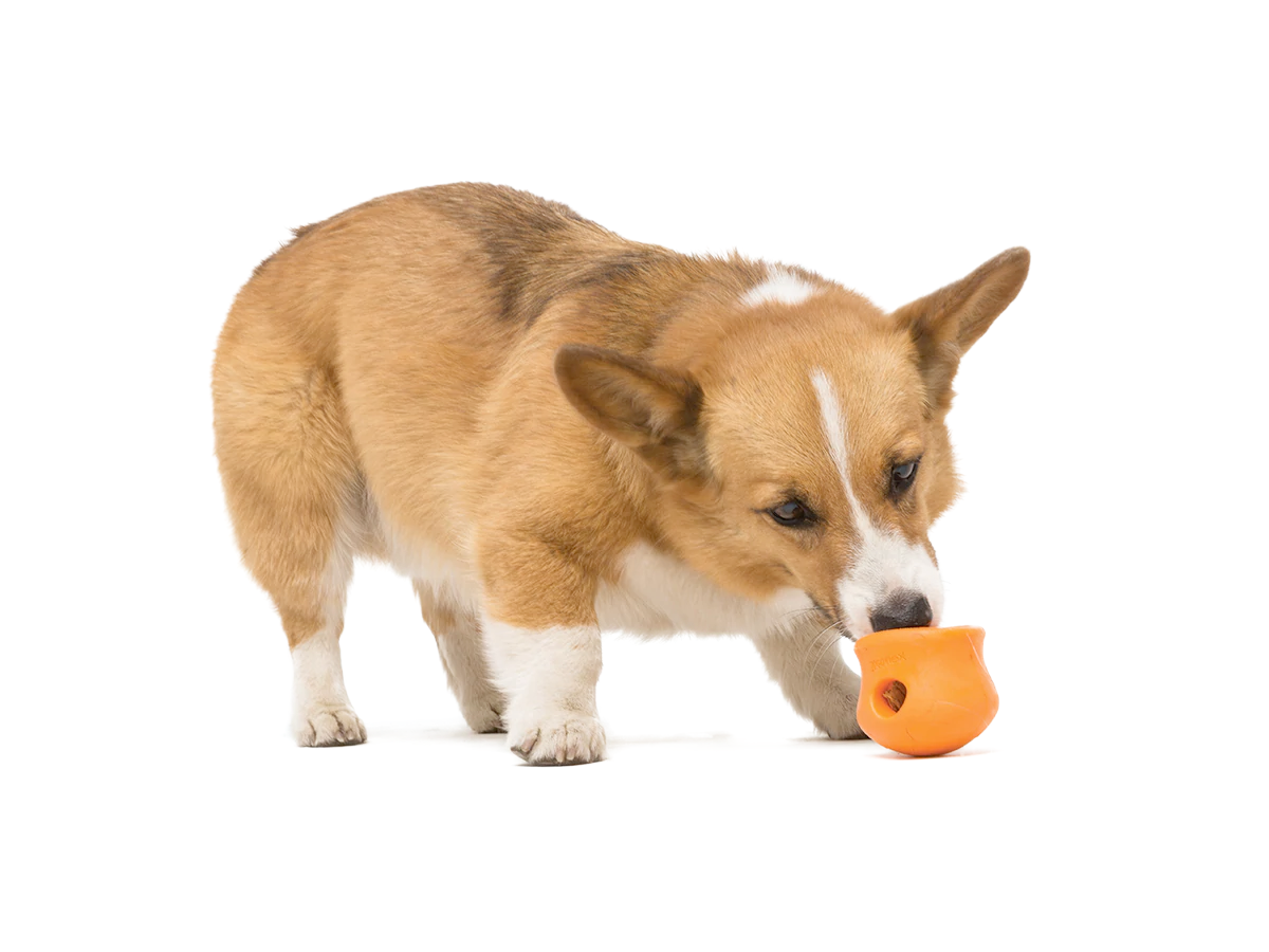 Interactive puzzle, food-dispensing dog toy, Zogoflex Toppl
