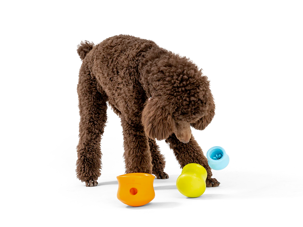 Interactive puzzle, food-dispensing dog toy, Zogoflex Toppl