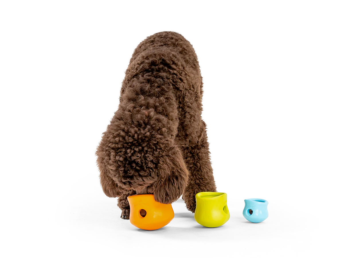 Interactive puzzle, food-dispensing dog toy, Zogoflex Toppl