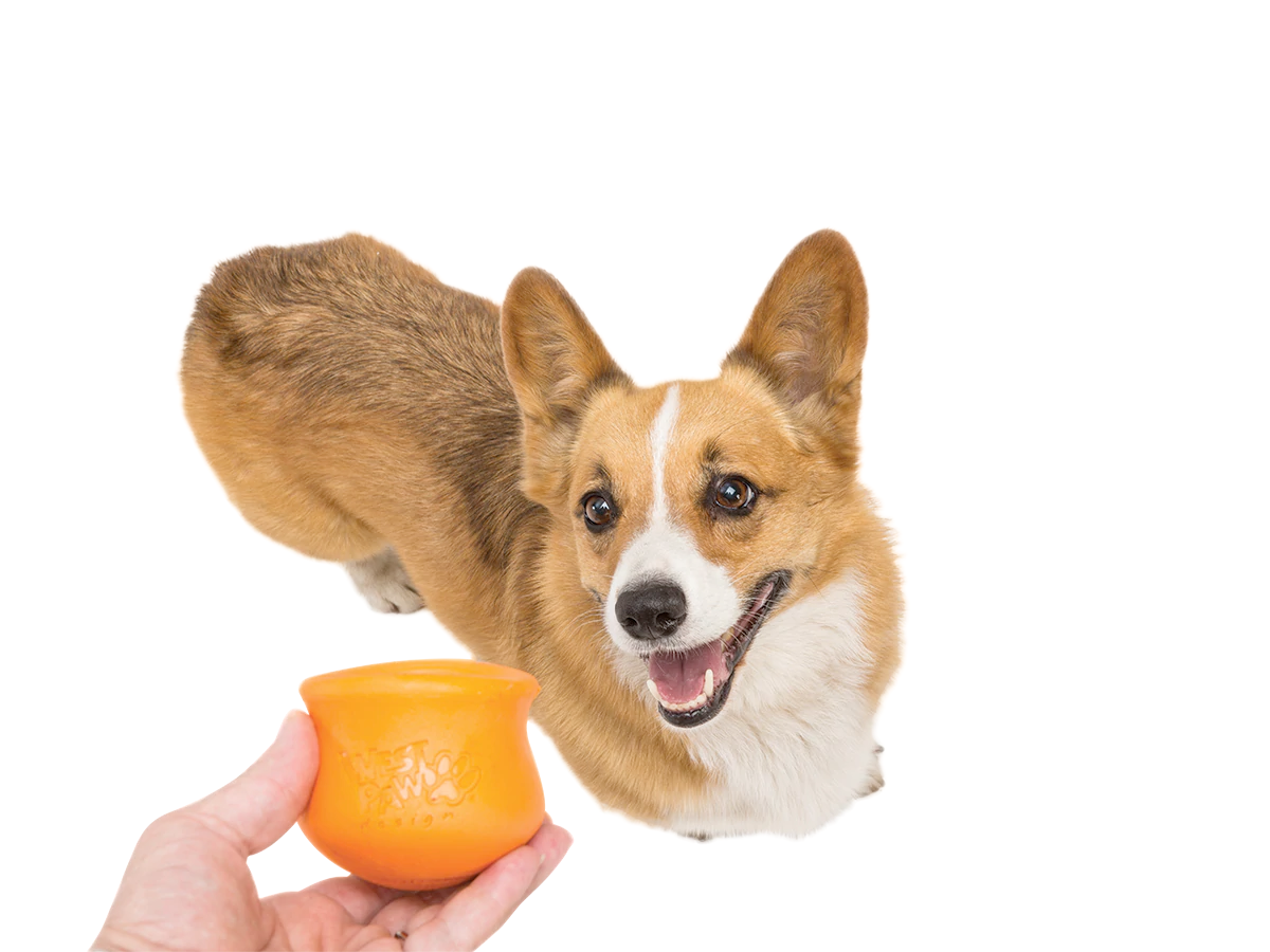 Interactive puzzle, food-dispensing dog toy, Zogoflex Toppl