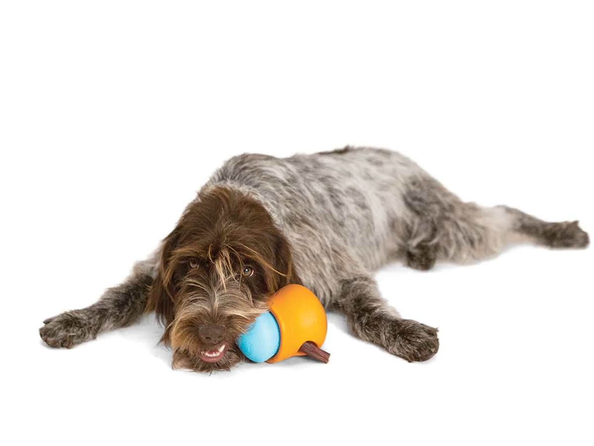 Interactive puzzle, food-dispensing dog toy, Zogoflex Toppl