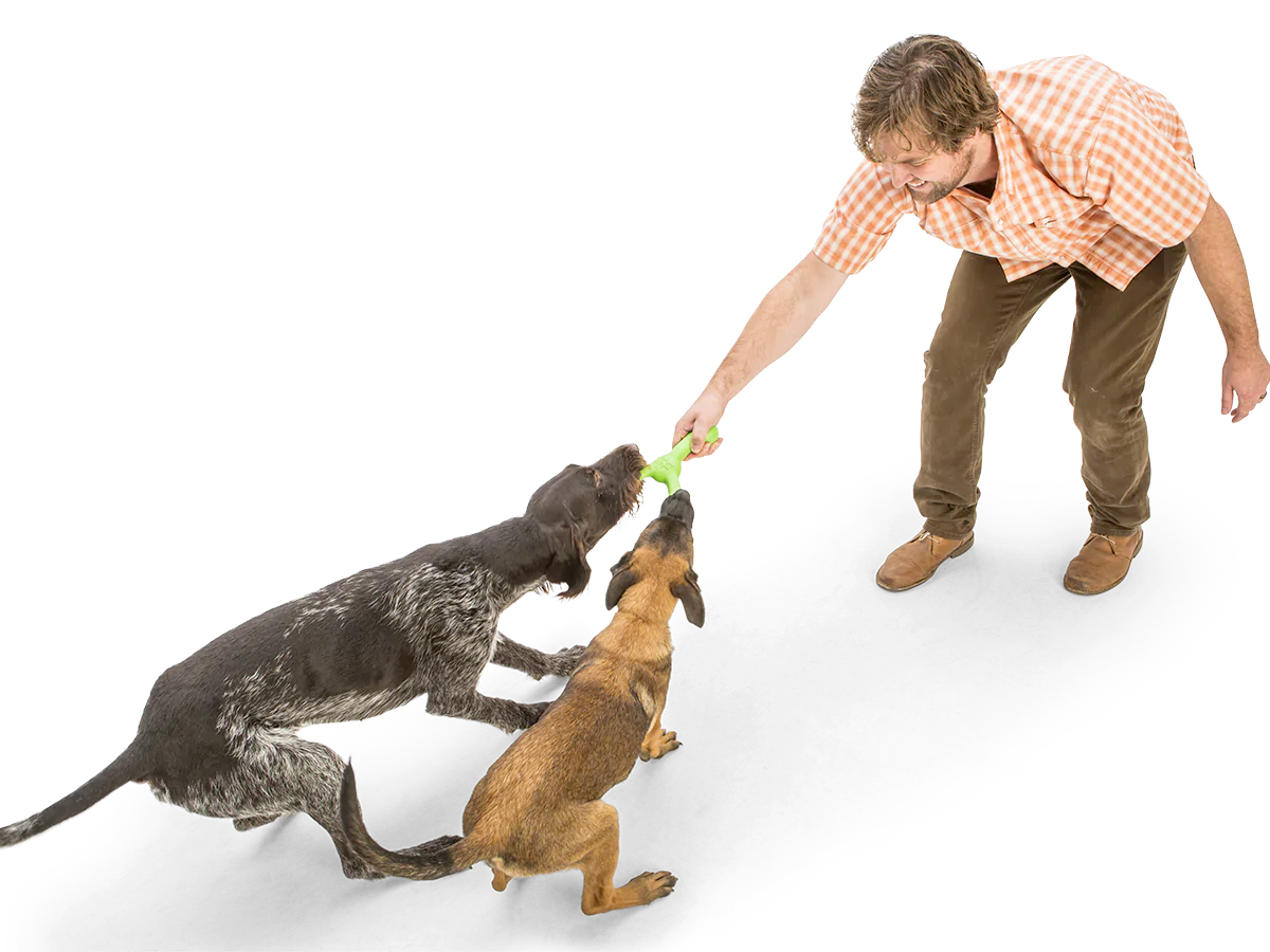 Toss and Fetch Dog toy, Zogoflex Echo Skamp