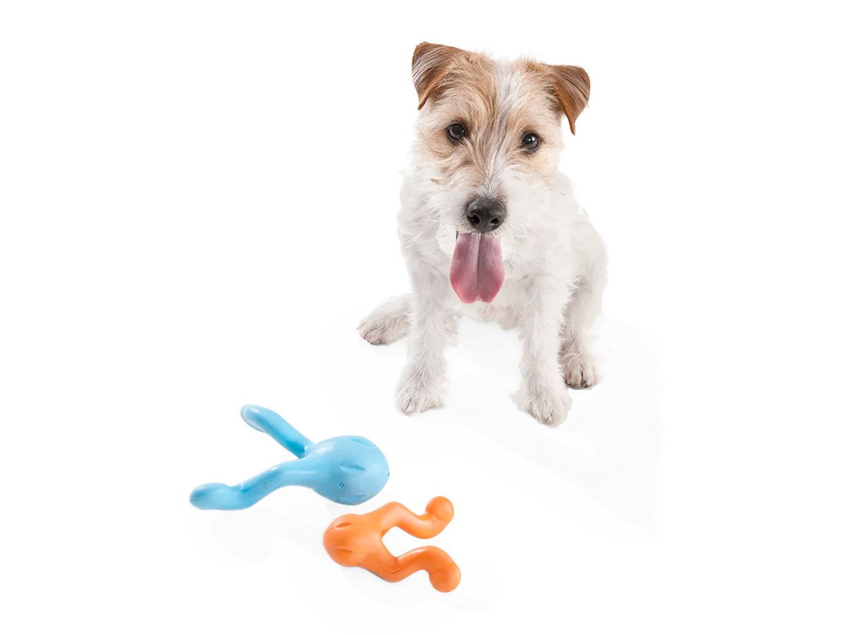 Toss and Fetch Interactive Treat Dispensing Dog toy, Zogoflex Tizzi