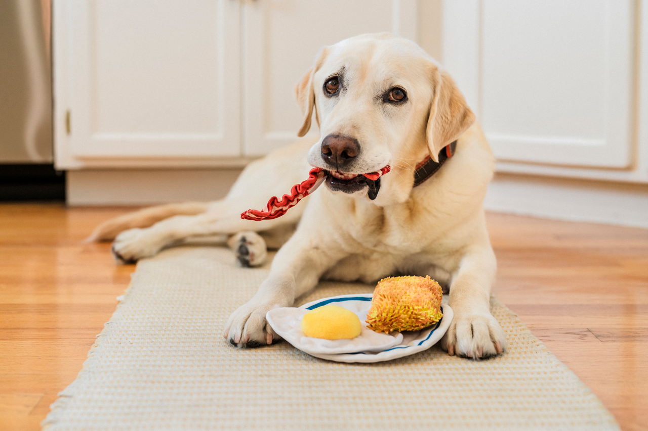 [Pre-Order] IHOP x P.L.A.Y. Squeaky Plush Dog toys, Breakfast Bundle