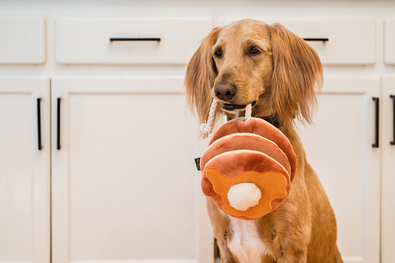 [Pre-Order] IHOP x P.L.A.Y. Squeaky Plush Dog toys, Breakfast Bundle