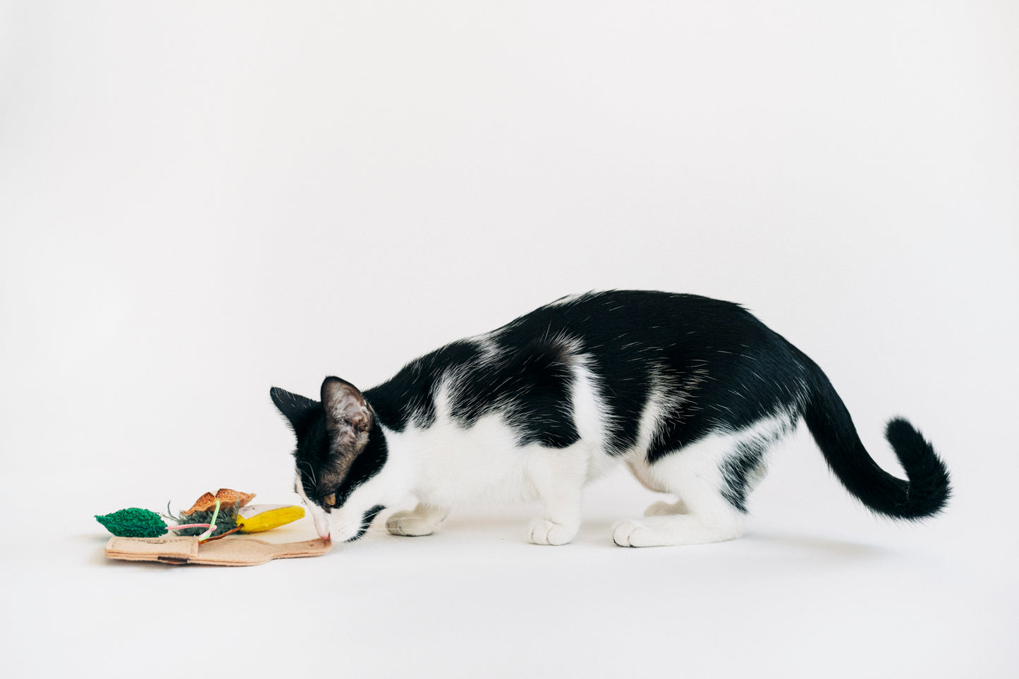 [Pre-Order] P.L.A.Y. Feline Frenzy, Catnip Toy set: Purrfect Pairings