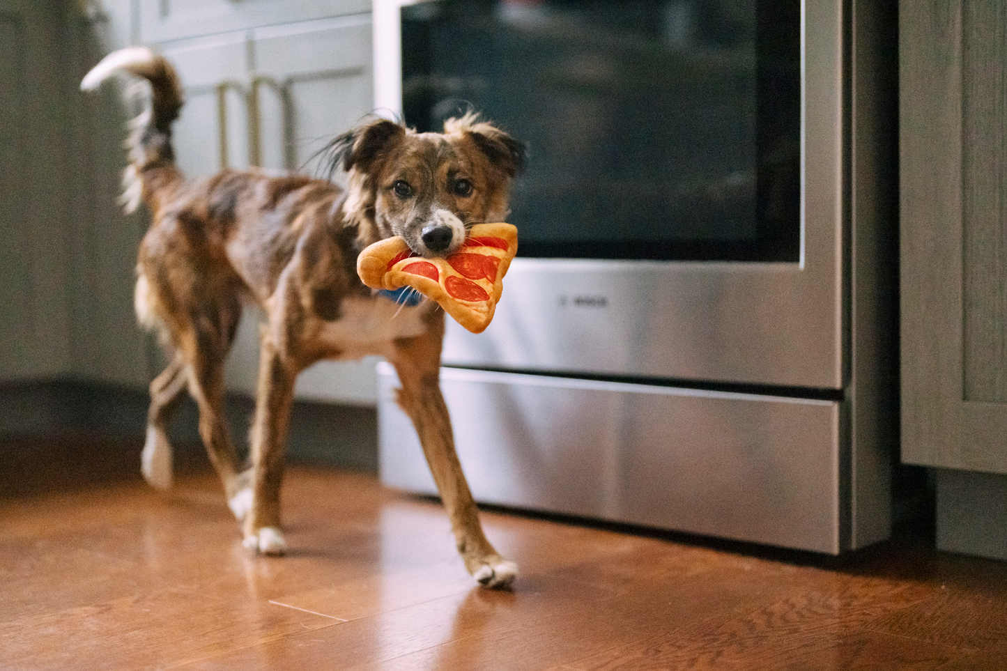 [Pre-Order] P.L.A.Y. Snack Attack Squeaky Plush Dog toys, Puppy-roni Pizza (mini sized)
