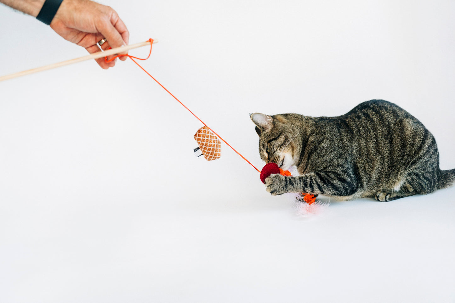 [Pre-Order] P.L.A.Y. Feline Frenzy, Wand Cat Toy: Swatlami