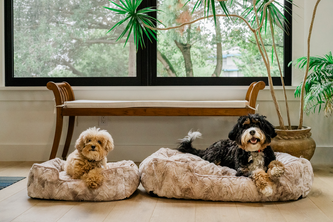 Lounge Dog Bed: Dreamland Sandstorm