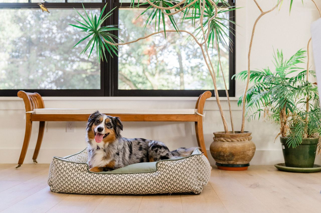 Lounge Dog Bed: Vineyard Olive Green