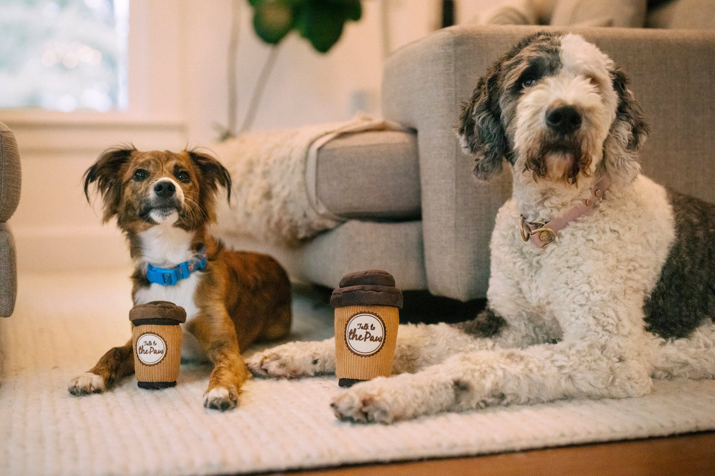 [Pre-Order] P.L.A.Y. Pup Cup Cafe Squeaky Plush Dog toys, Doggo's Java (mini sized)