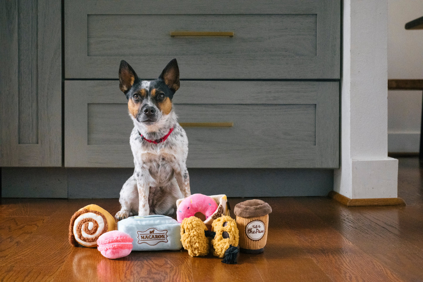 [Pre-Order] P.L.A.Y. Pup Cup Cafe Squeaky Plush Dog toys, Mutt-a-rons (mini sized)