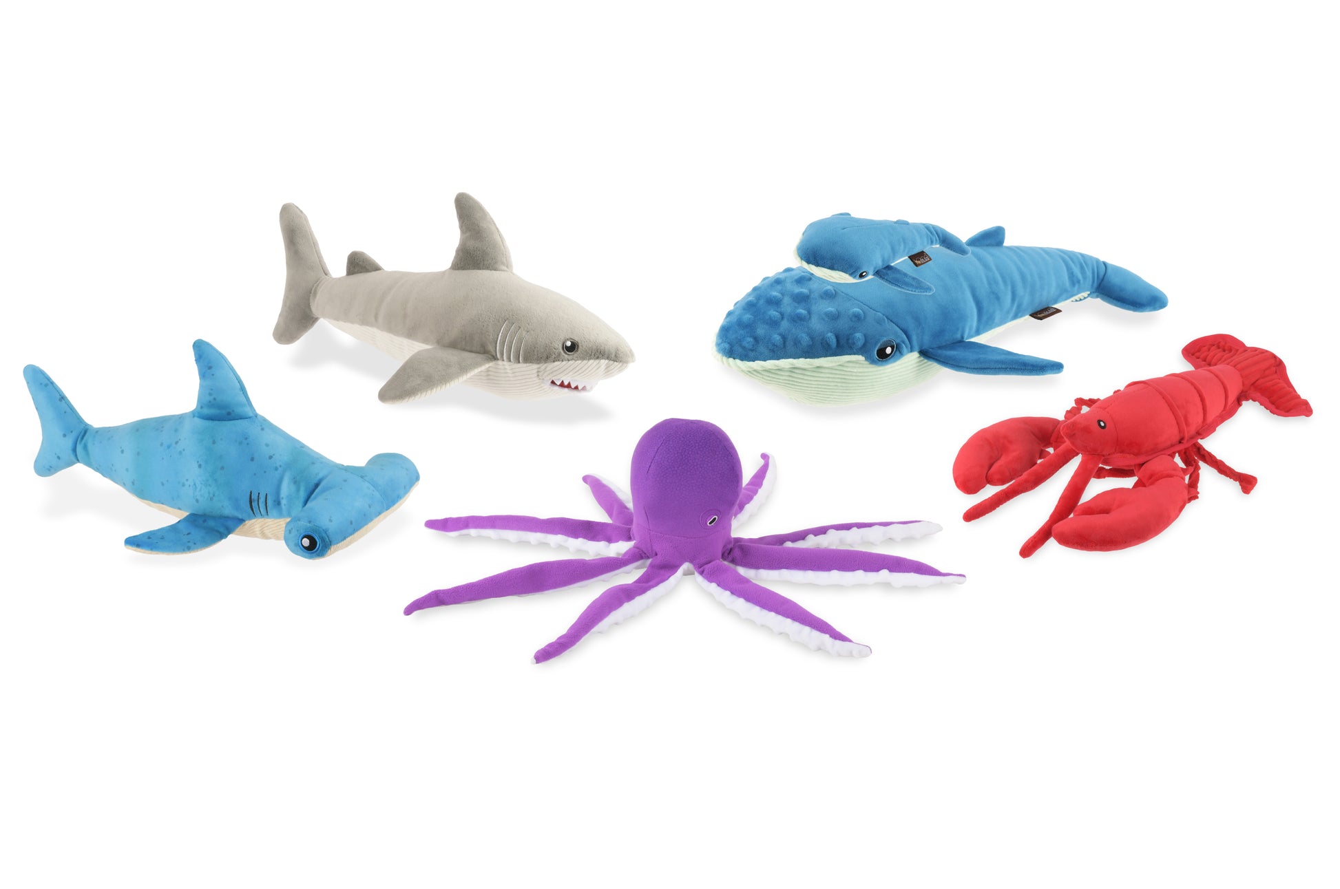 P.L.A.Y. Ocean Buddies  Interactive Squeaky & Crinkle Dog Toy