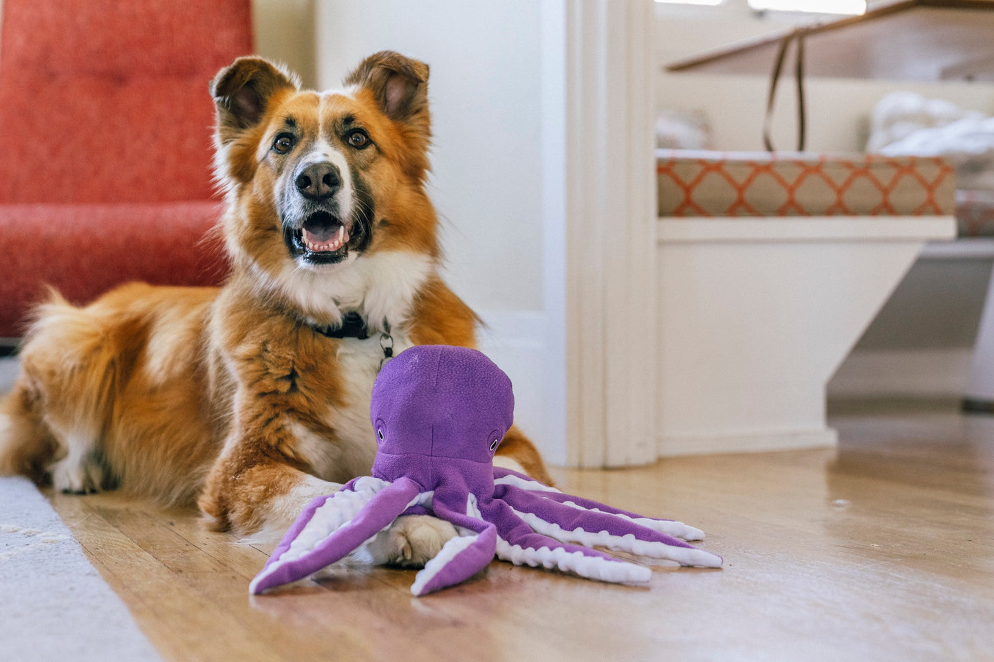 P.L.A.Y. Ocean Buddies Opal the Octopus: Interactive Squeaky & Crinkle Dog Toy
