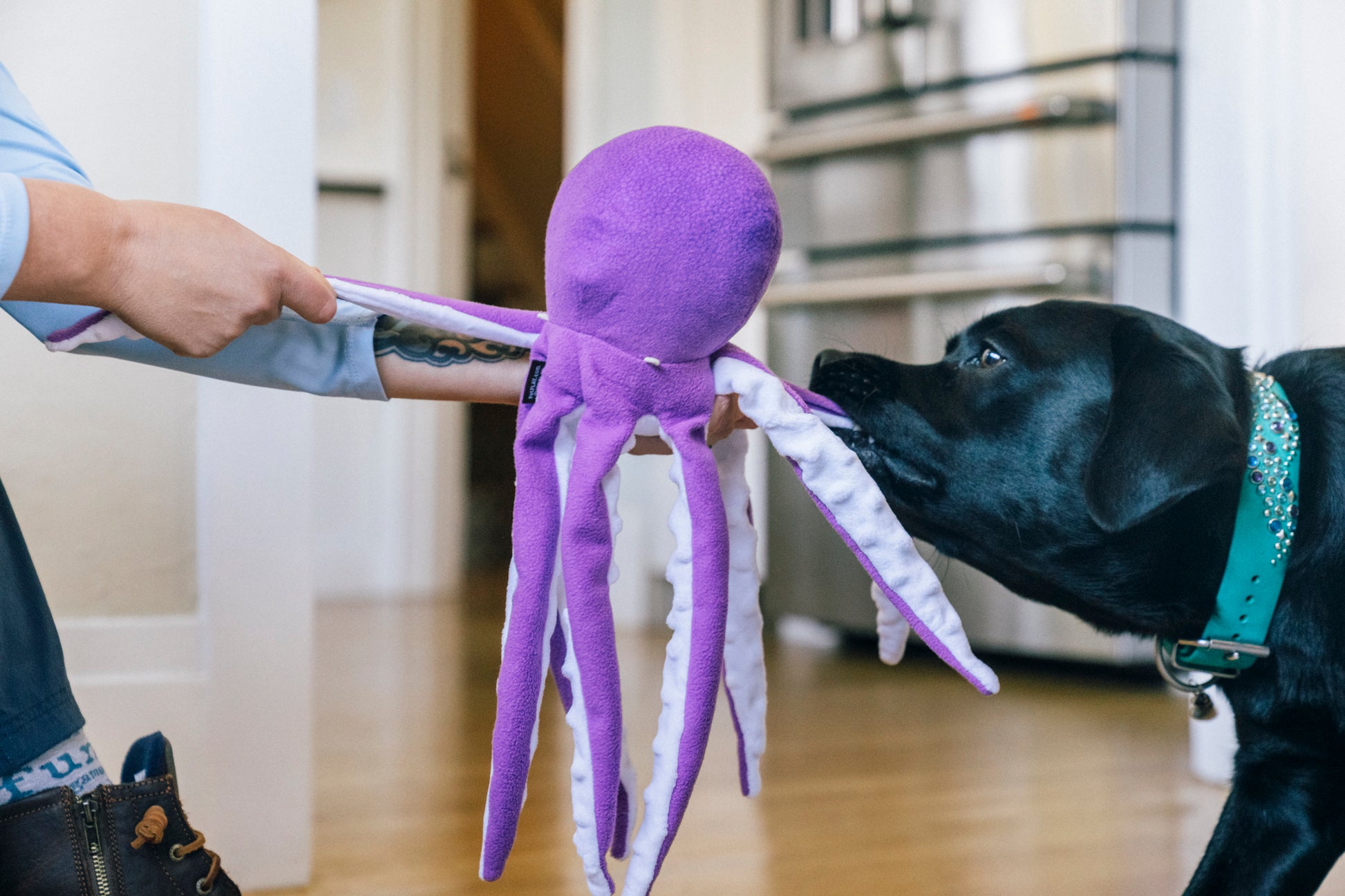 P.L.A.Y. Ocean Buddies Opal the Octopus: Interactive Squeaky & Crinkle Dog Toy