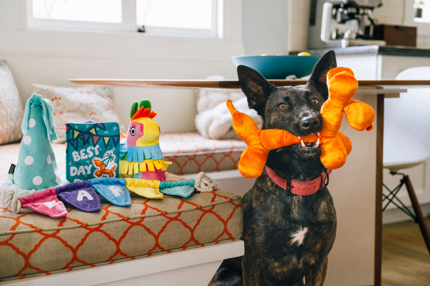 P.L.A.Y. Party Animal Balloon Buddy | Multi-Squeaker Dog Toy