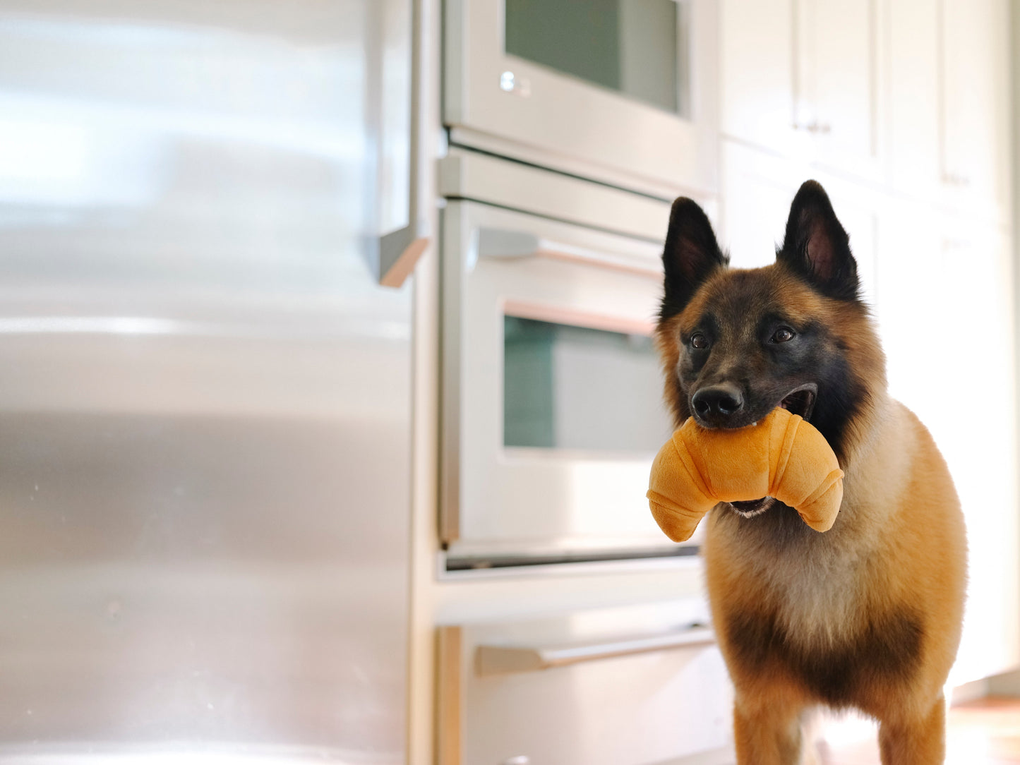 P.L.A.Y. Barking Brunch Plush Dog toys, Pup's Pastry