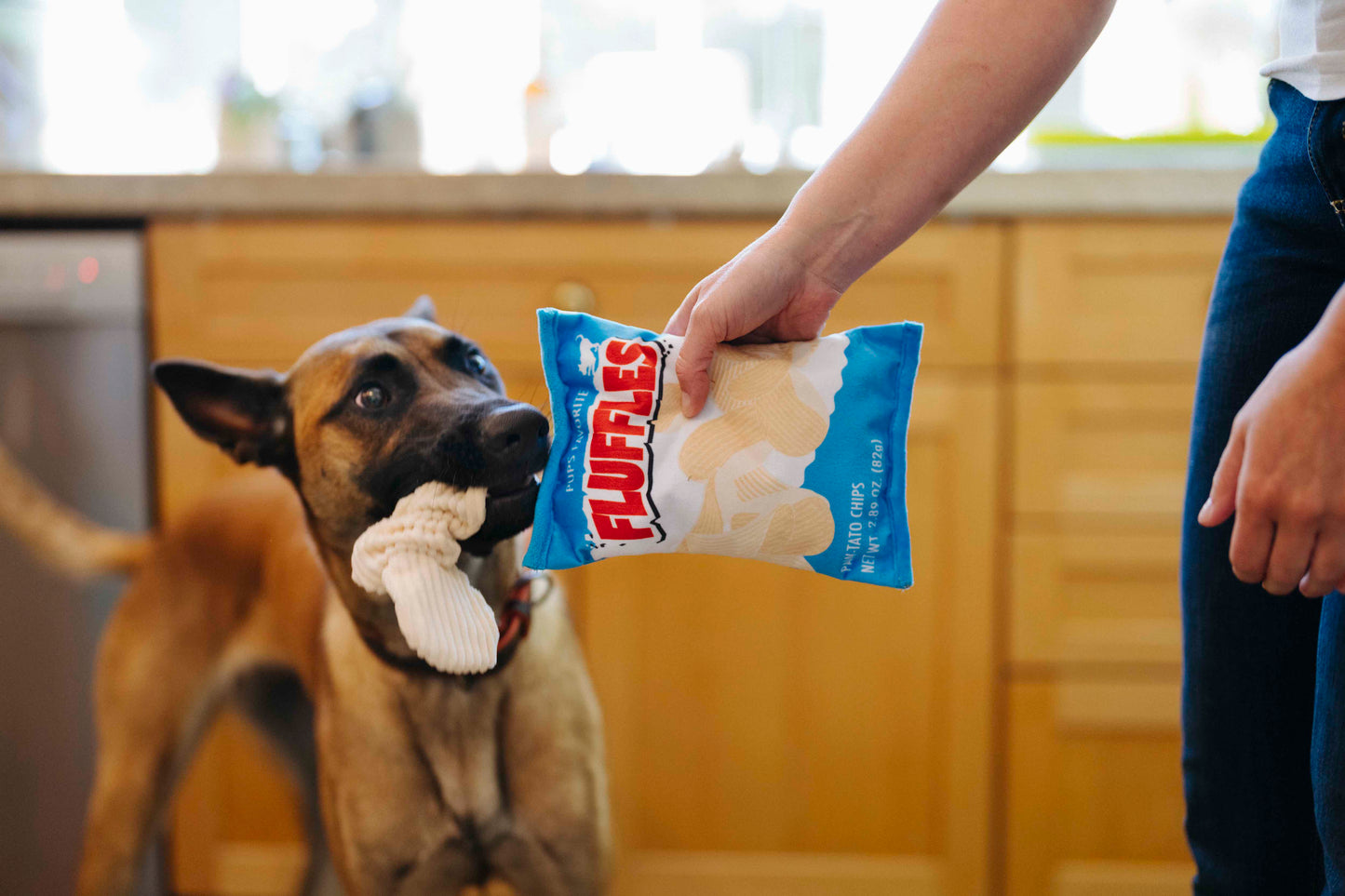 P.L.A.Y. Snack Attack Squeaky Plush Dog toys, Fluffles Chips