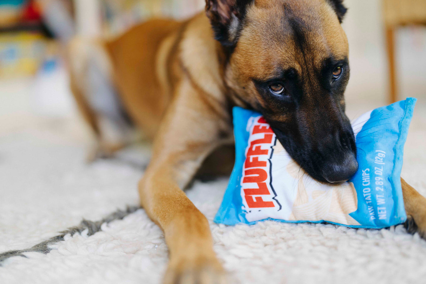 P.L.A.Y. Snack Attack Squeaky Plush Dog toys, Fluffles Chips