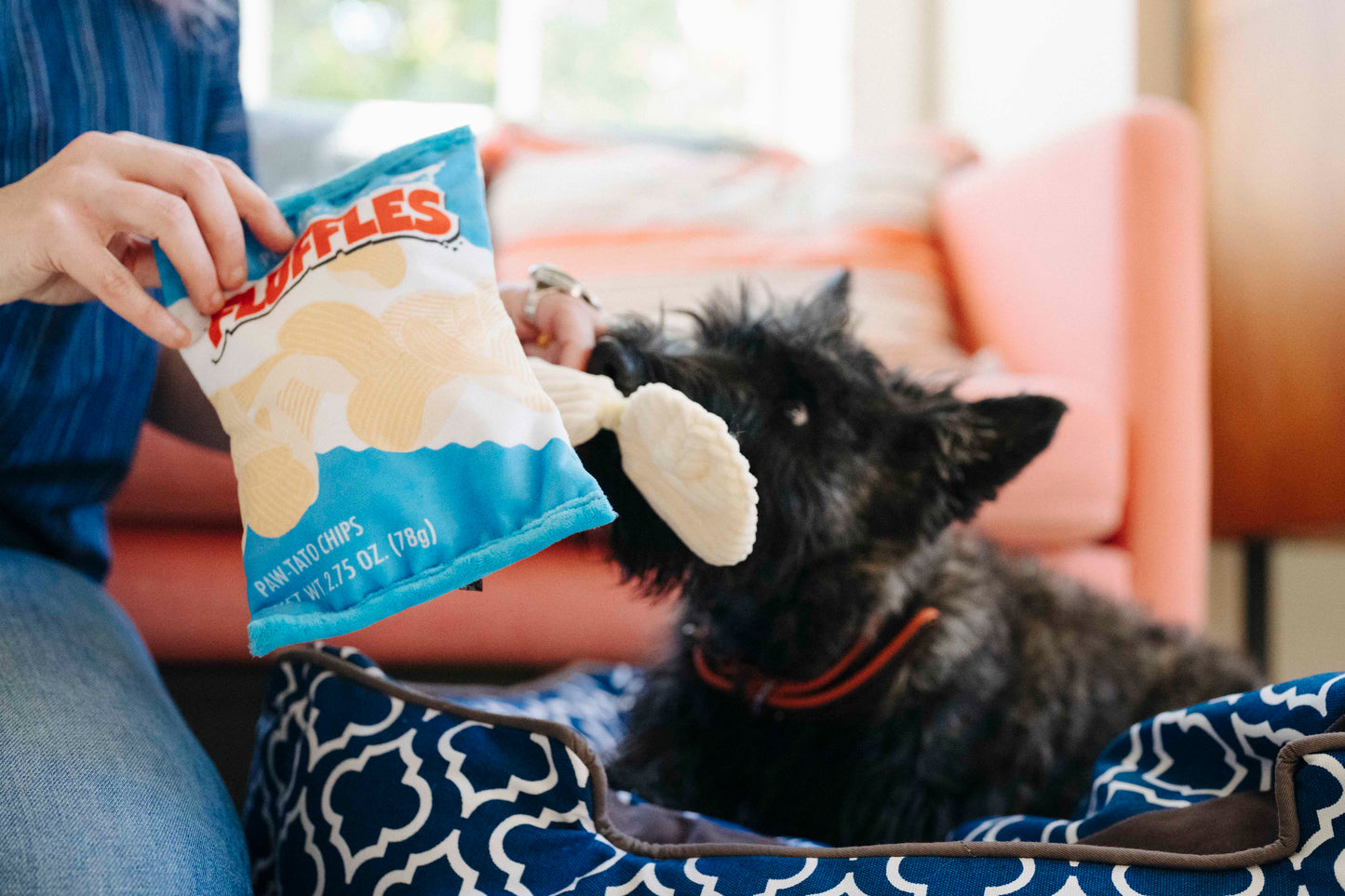 P.L.A.Y. Snack Attack Squeaky Plush Dog toys, Fluffles Chips
