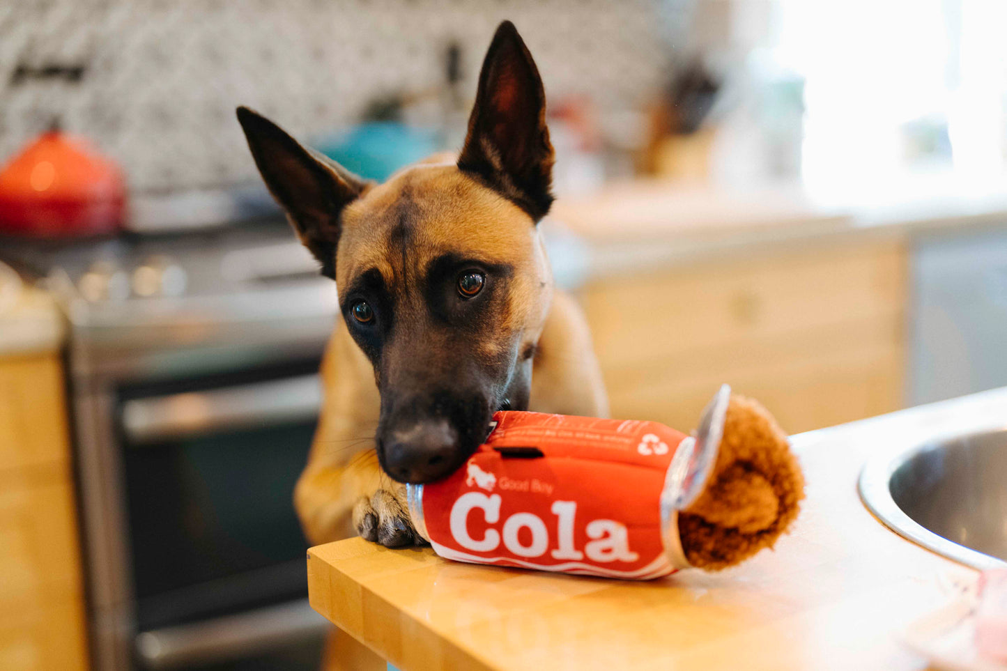 P.L.A.Y. Snack Attack Squeaky Plush Dog toys, Good Boy Cola