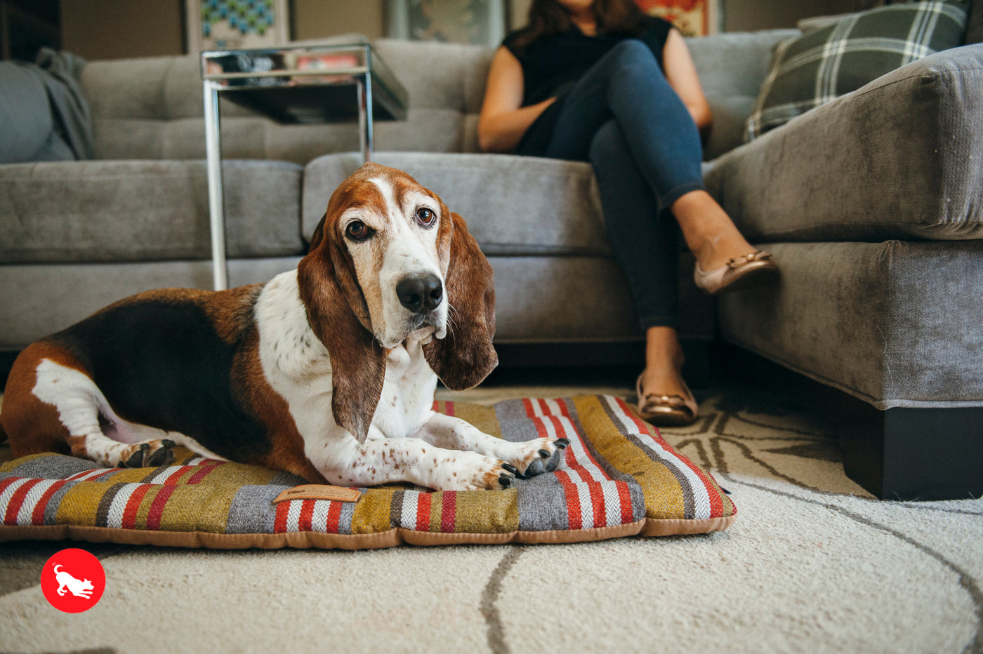 P.L.A.Y. Chill Pad for Dogs and Cats Horizon Woodland