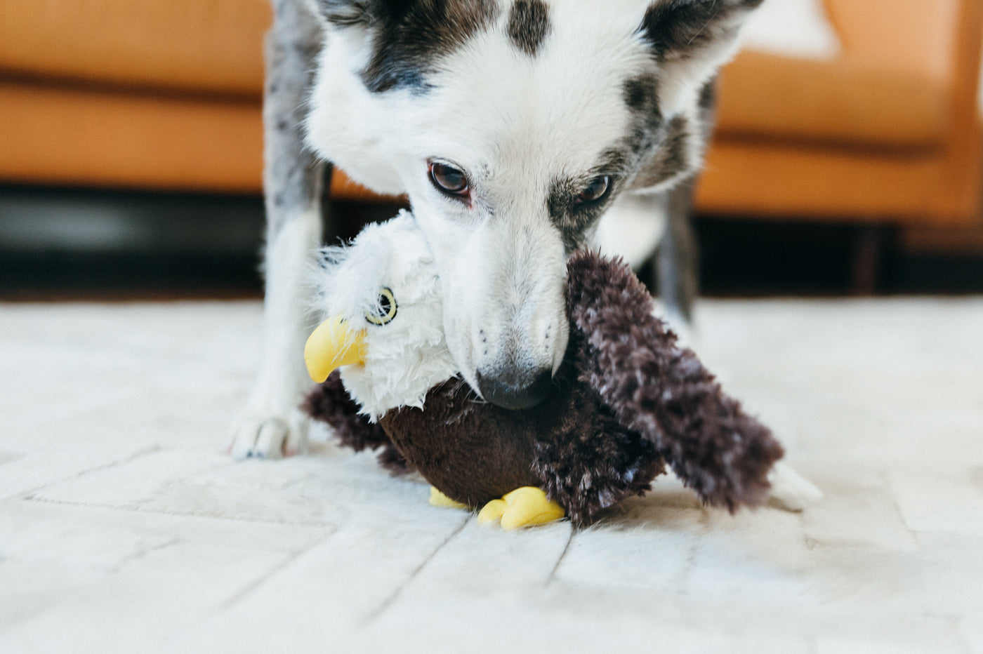 Fetching Flock Squeaky Plush Dog toys
