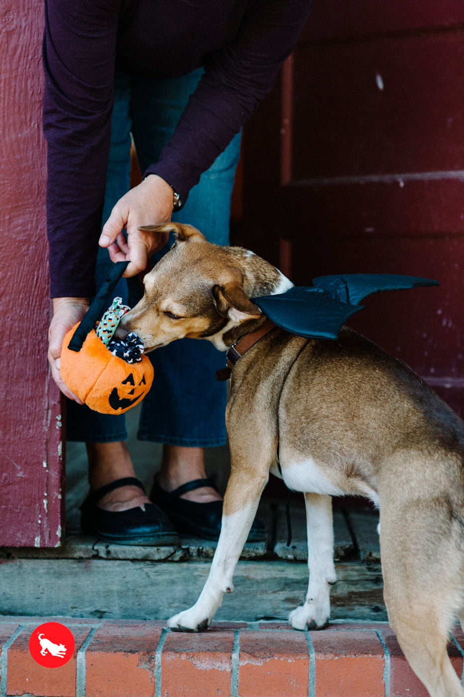 P.L.A.Y. Halloween Pumpkin Basket with Candies Plush Dog Toy