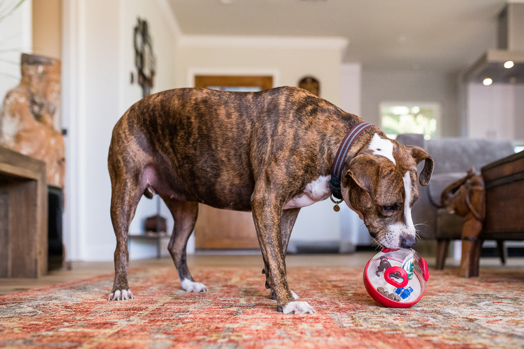 P.L.A.Y. Holiday Wobble Dog Toy