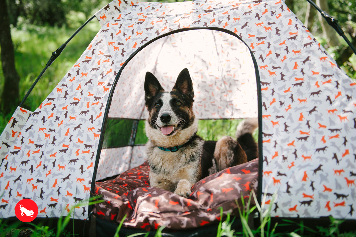outdoor dog tent Outdoor Dog Tent in Vanilla
