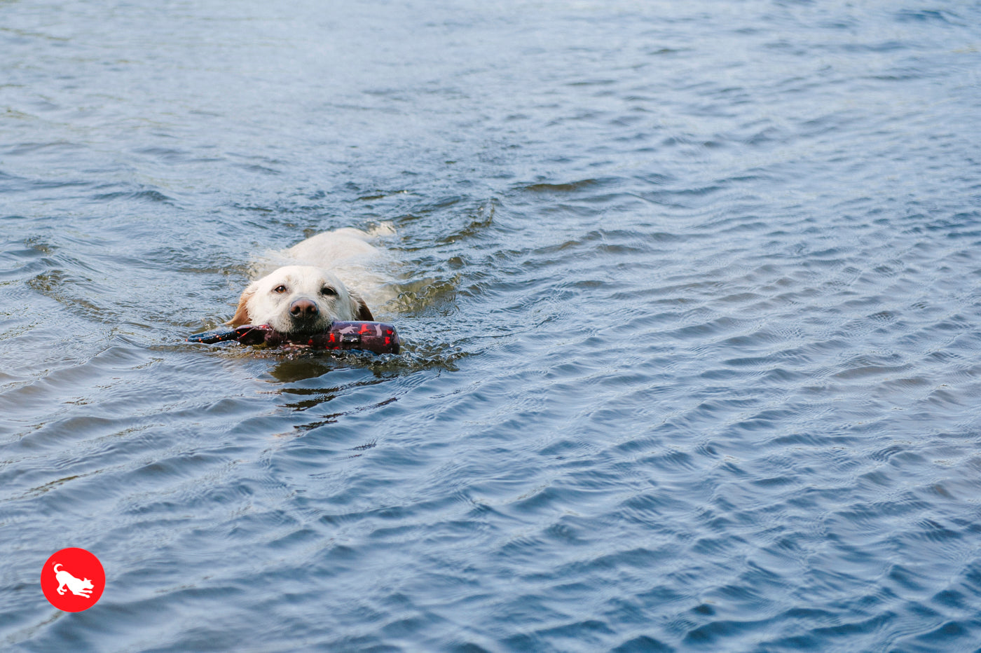 Toss and Float toy