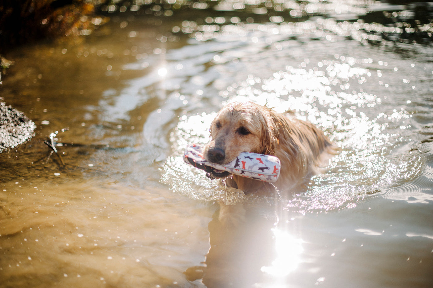 Toss and Float toy