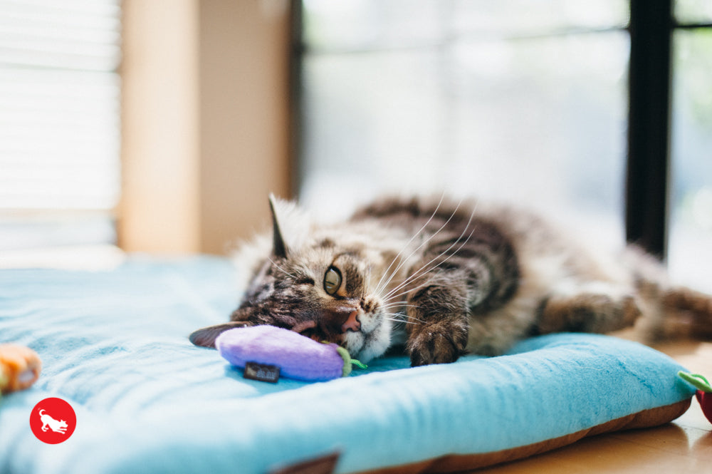 PLAY Feline Frenzy Catnip Toy Farm to Tabby