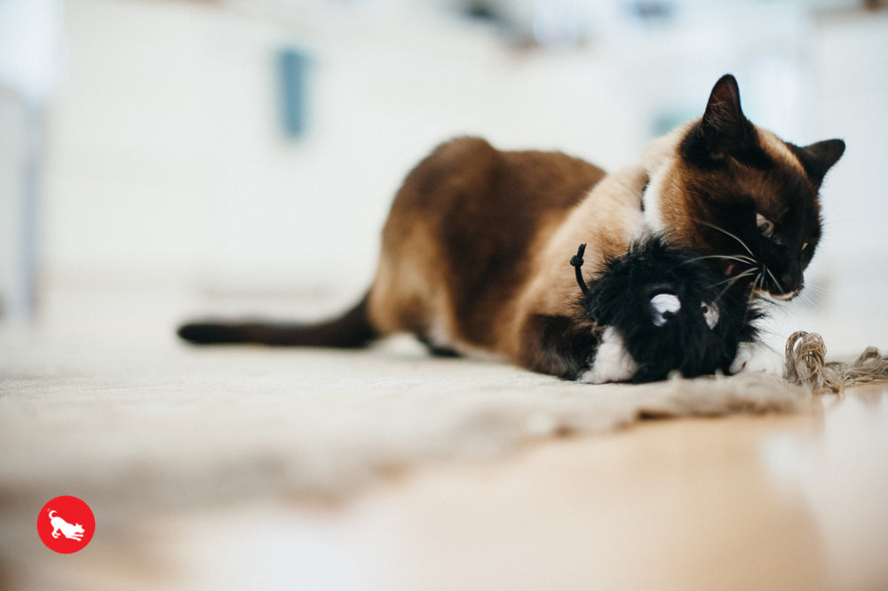 PLAY Feline Frenzy Catnip Toy Frisky Furball