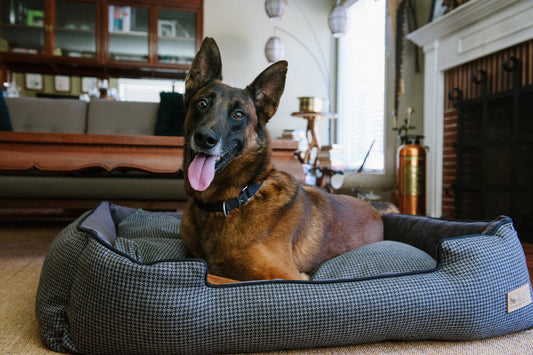 [Pre-order]Lounge Bed: Houndstooth Shadow Grey