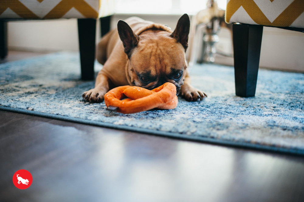 The International Classic, Squeaky Plush Dog Toy