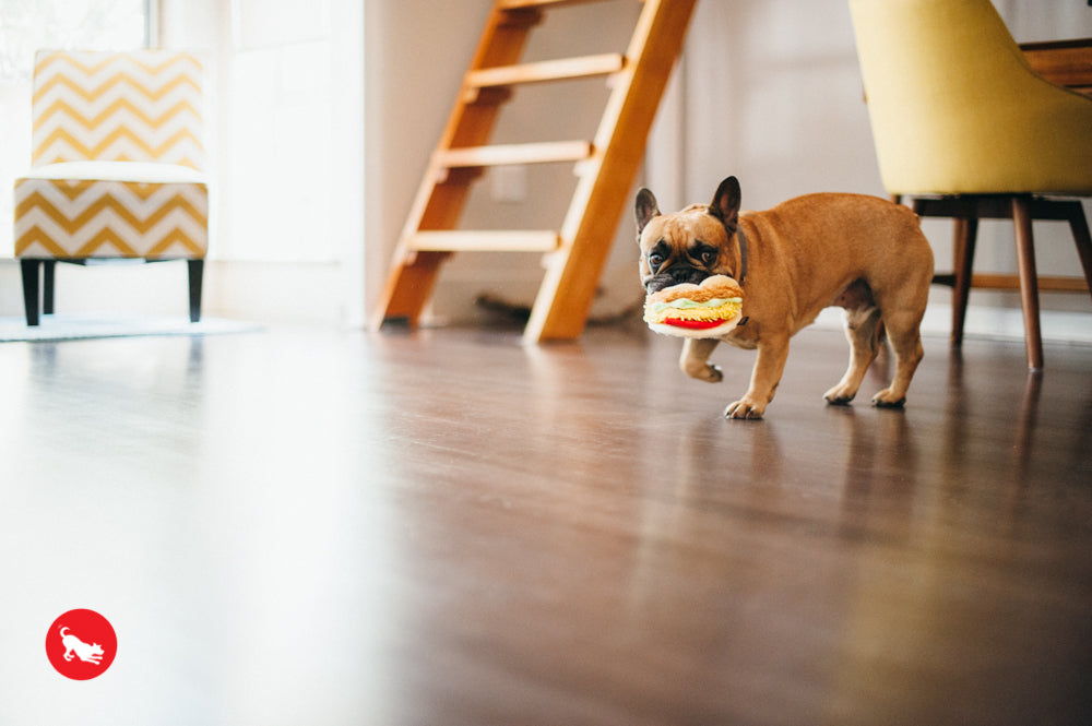 The International Classic, Squeaky Plush Dog Toy