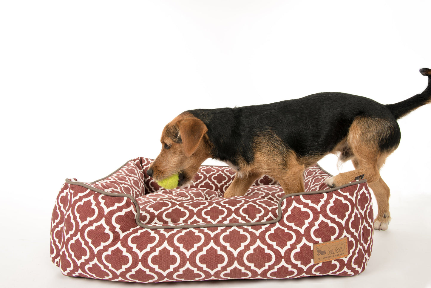 [Pre-order]Lounge Bed: Moroccan Marsala