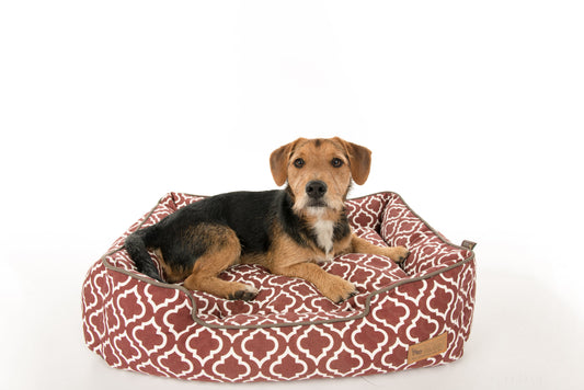 [Pre-order]Lounge Bed: Moroccan Marsala