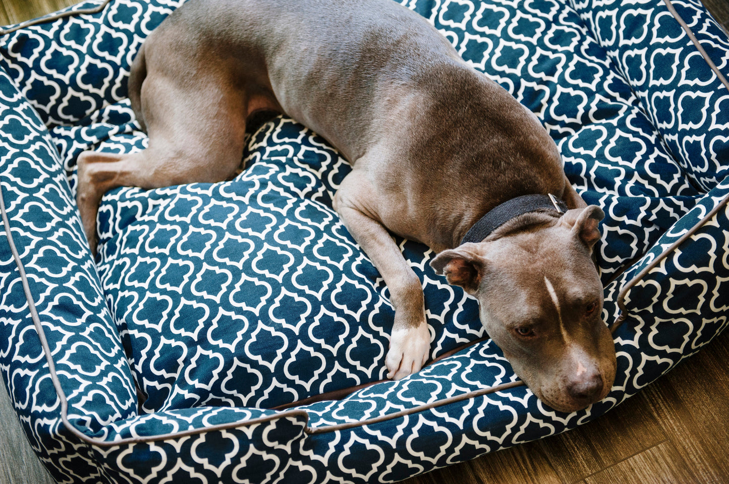 [Pre-order]Lounge Bed: Moroccan Navy Blue