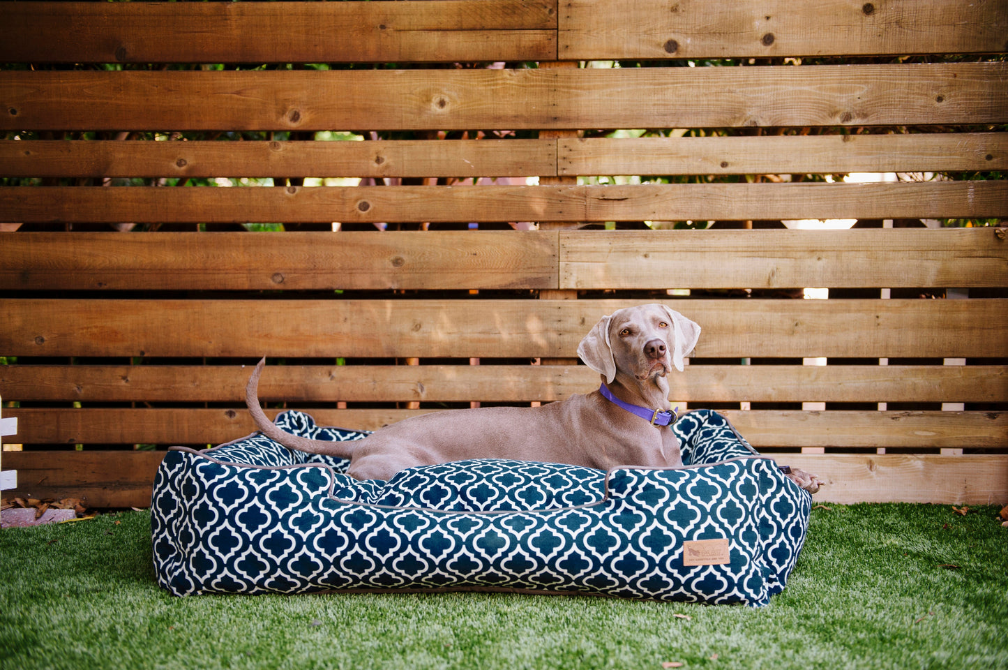 [Pre-order]Lounge Bed: Moroccan Navy Blue