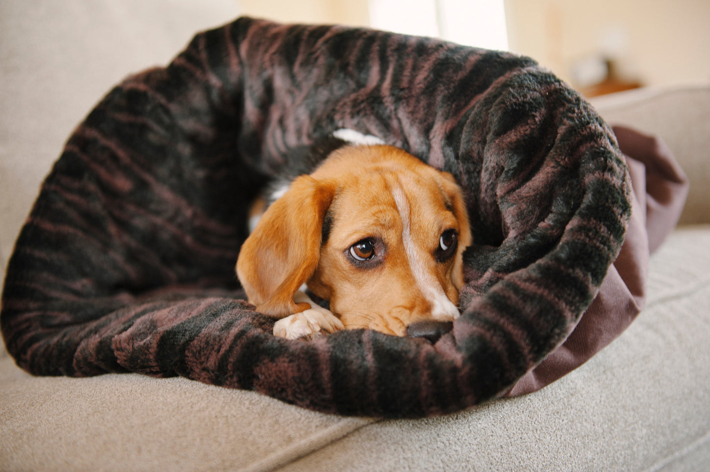 PLAY Snuggle Bed Truffle Brown for Dogs and Cats